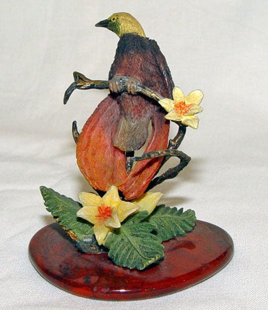 Immagine di Bird of Paradise