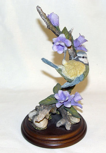 Picture of Blue Tit with Canterbury Bell