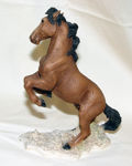 Picture of Brown Horse