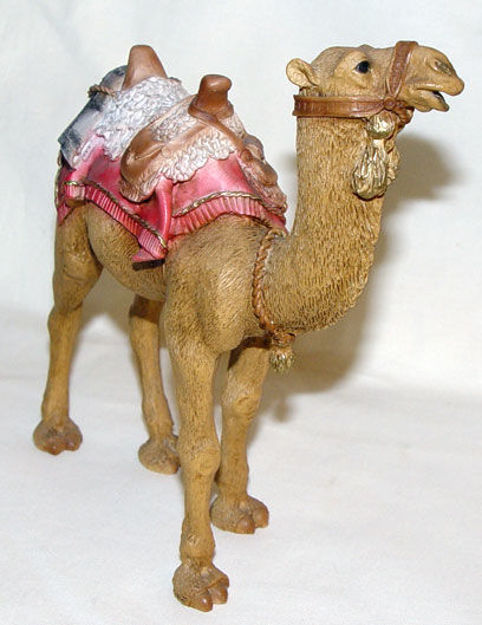 Immagine di Camel