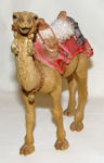 Immagine di Camel