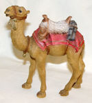 Immagine di Camel