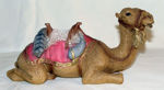 Image de Camel