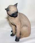 Immagine di Cat