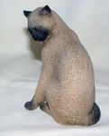 Immagine di Cat