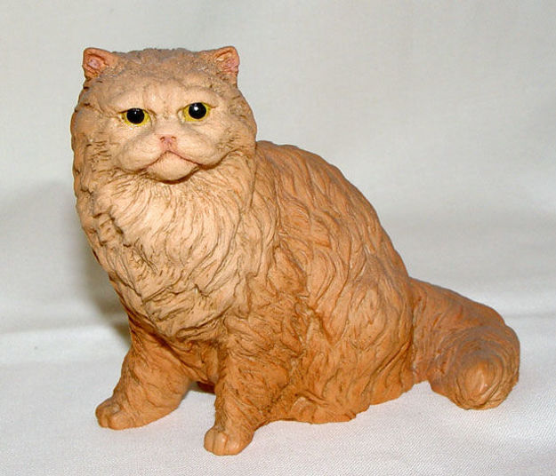 Immagine di Cat