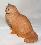 Immagine di Cat