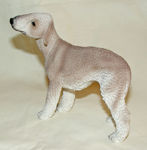 Picture of Bedlington terrier Dog