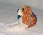 Picture of Dog - Cocker