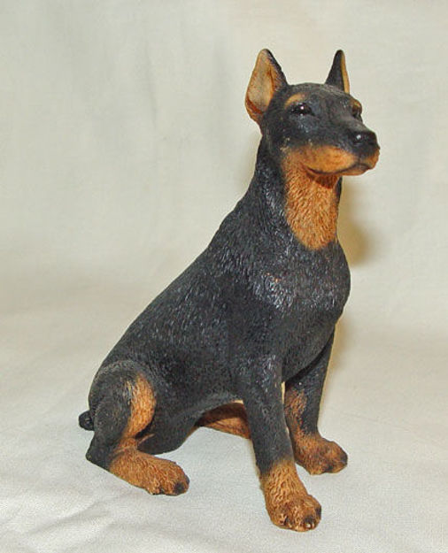 Picture of Dog - Doberman