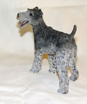 Picture of Dog - Fox Terrier