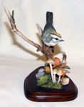 Picture of Firecrest with Wild Mushrooms