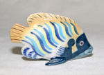 Immagine di Fish