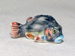 Immagine di Fish