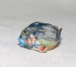 Immagine di Fish