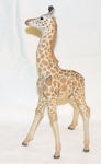 Picture of Giraffe