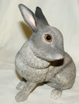 Immagine di Grey Rabbit - Lying