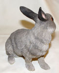 Immagine di Grey Rabbit - Lying