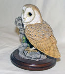 Picture of Gufo