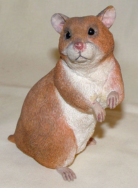 Immagine di Hamster