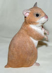 Immagine di Hamster