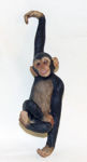 Immagine di Hanging monkeys