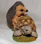 Immagine di Hedgehog with Turtle