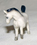 Immagine di Horse