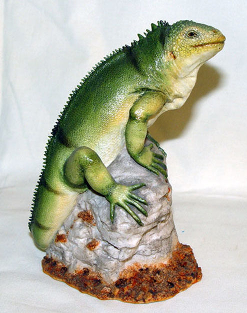Immagine di Iguana