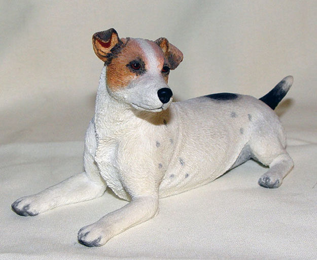 Picture of Jack Russell Lying