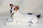 Immagine di Jack Russell Lying