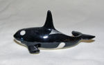 Picture of Killer Whale