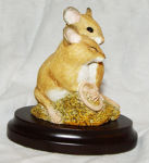 Immagine di MICE CUDDING