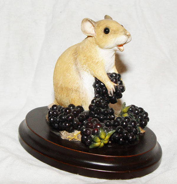 Immagine di MOUSE ETATING BERRIES