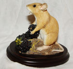 Immagine di MOUSE ETATING BERRIES