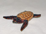 Immagine di Sea Turtle