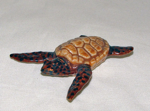Immagine di Sea Turtle