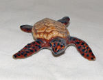 Immagine di Sea Turtle