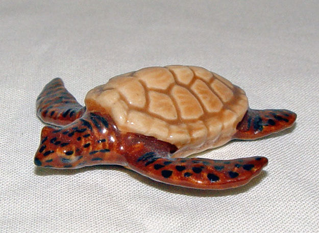 Picture of Sea Turtle