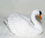 Picture of Swan