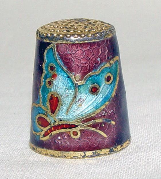 Immagine di Thimble butterfly