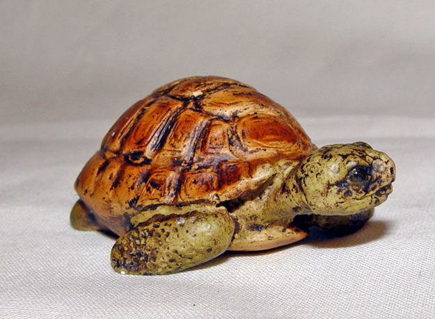 Immagine di Turtle