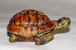 Immagine di Turtle