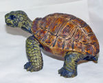 Immagine di Turtle