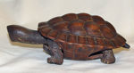 Immagine di Turtle