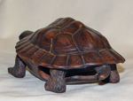 Immagine di Turtle