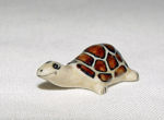 Immagine di Turtle