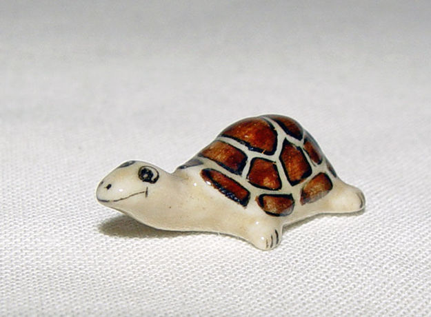 Immagine di Turtle