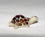 Immagine di Turtle