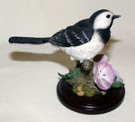 Immagine di Wagtail with Geraniums